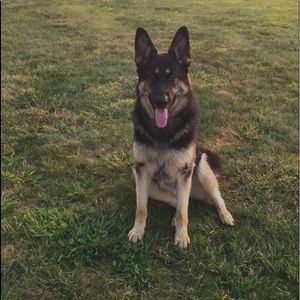 Meet your Posher, Debbie